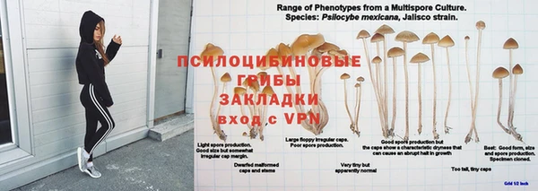мескалин Михайловка