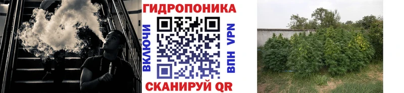 Бошки Шишки AK-47  сайты даркнета формула  Рязань 